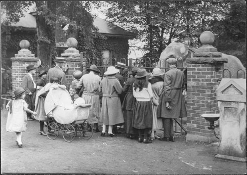 Historic photo from 1923 - The elephants at the Riverdale Zoo, Toronto in Riverdale park