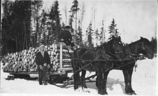 Finnish men driving a team of horses carrying a sleigh full of logs at a pulp lumber camp north of Sault Ste. Marie
