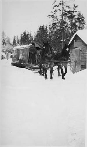 Covered wagon caboose used for transporting men to lumber camp from cutting area